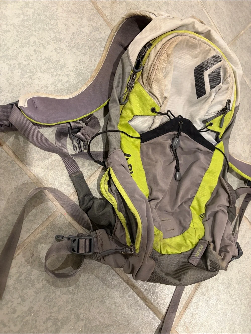 Black Diamond Backpack in Lime and Taupe Accent